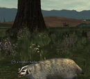 A timber badger