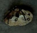 Picking Up the Broken Pieces