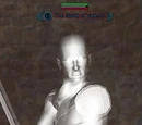 The Spirit of Valeron