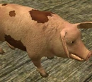 Hungering hellhog