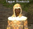 Taggan Brookrich