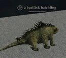 A basilisk hatchling