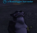 A Bonedigger harvester