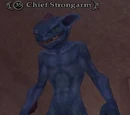 Chief Strongarm