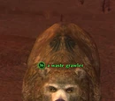 A waste grawler