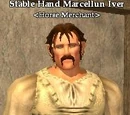 Stable Hand Marcellun Iver