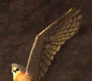 Amenophas Livingspirit