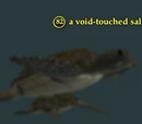 A void-touched saltshell
