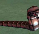 A rabid leech