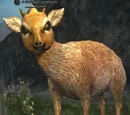 A mature antelope