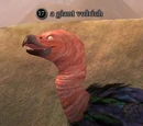 A giant vulrich