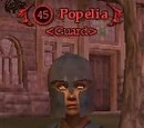 Popelia