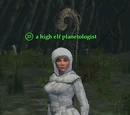 A high elf planetologist