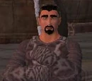 Occultist Levonicus