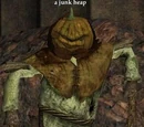 A junk heap