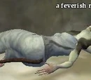 A feverish ratonga