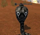 A sunvenom cobra