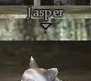 Jasper