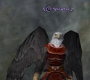 Spizaetus