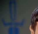 Spock (mirror)