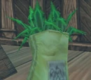 Reagent Pouch