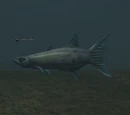 A muckfin