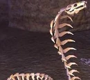 Cobra skeleton