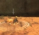Gorowyn: Wadi Lizards