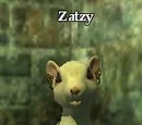 Zatzy