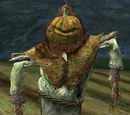 Scarecrow guard