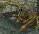 Ahnrisk