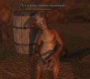 A Sandscrawler shamanite