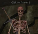 Lord Chesgard