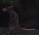 A scavenging vermin