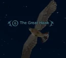 The Great Hawk