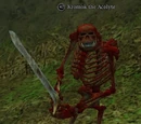 Kromok the Acolyte
