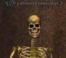 A drowned footsoldier