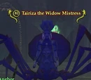 Tairiza the Widow Mistress