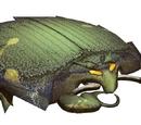 Insectocortador