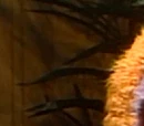 Sesame Street Monsters