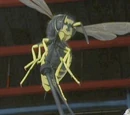 Wasp
