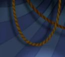 Circus