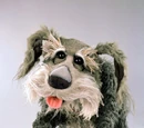 Sprocket
