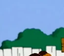 Episodio 994