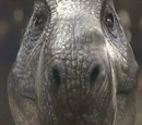Gerald
