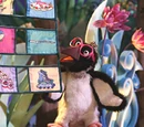 Koko the Penguin