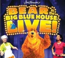 Bear in the Big Blue House Live: Surprise Party