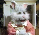 Mother Bunny