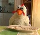 Stuntkip