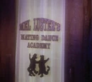Mel Luster's Mating Dance Academy